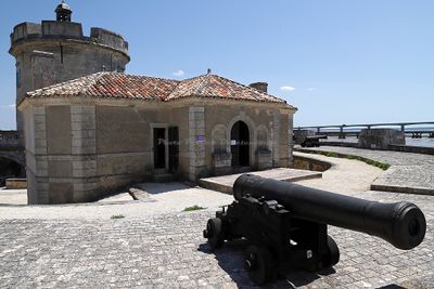 1360 Vacances en Charente Maritime - Photos Canon IMG_8829_DxO Pbase.jpg