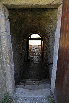 1203 Vacances en Charente Maritime - Photos Canon IMG_8658_DxO Pbase.jpg
