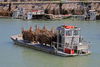 1259 Vacances en Charente Maritime - Photos Canon IMG_8718_DxO Pbase.jpg
