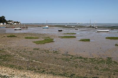 1278 Vacances en Charente Maritime - Photos Canon IMG_8738_DxO Pbase.jpg