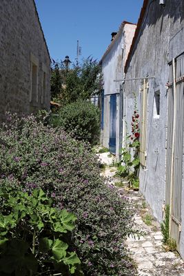 1290 Vacances en Charente Maritime - Photos Canon IMG_8751_DxO Pbase.jpg