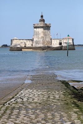 1295 Vacances en Charente Maritime - Photos Canon IMG_8756_DxO Pbase.jpg