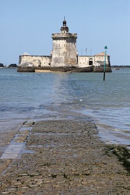 1297 Vacances en Charente Maritime - Photos Canon IMG_8758_DxO Pbase.jpg