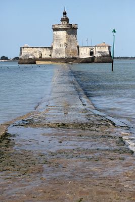 1320 Vacances en Charente Maritime - Photos Canon IMG_8781_DxO Pbase.jpg