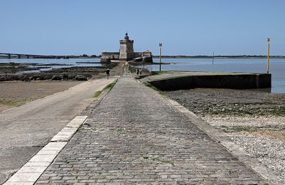 1325 Vacances en Charente Maritime - Photos Canon IMG_8787_DxO Pbase.jpg
