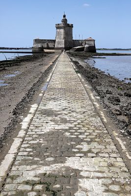 1332 Vacances en Charente Maritime - Photos Canon IMG_8794_DxO Pbase.jpg