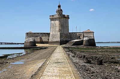 1334 Vacances en Charente Maritime - Photos Canon IMG_8796_DxO Pbase.jpg