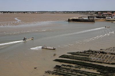 1415 Vacances en Charente Maritime - Photos Canon IMG_8904_DxO Pbase.jpg