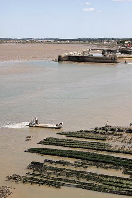 1420 Vacances en Charente Maritime - Photos Canon IMG_8909_DxO Pbase.jpg