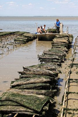 1435 Vacances en Charente Maritime - Photos Canon IMG_8924_DxO Pbase.jpg