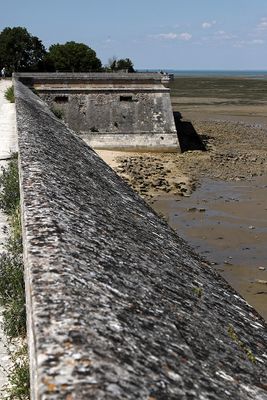 1442 Vacances en Charente Maritime - Photos Canon IMG_8932_DxO Pbase.jpg