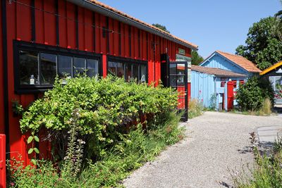1453 Vacances en Charente Maritime - Photos Canon IMG_8947_DxO Pbase.jpg