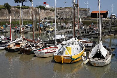 1471 Vacances en Charente Maritime - Photos Canon IMG_8972_DxO Pbase.jpg