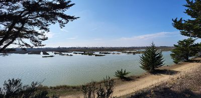 158 Vacances  Noirmoutier - 20473F~1 optimise Pbase.jpg