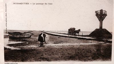 210 Vacances  Noirmoutier - 2039AE~1 optimise Pbase.jpg