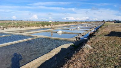 234 Vacances  Noirmoutier - 201850~1 optimise Pbase.jpg
