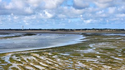 263 Vacances  Noirmoutier - 2078B4~1 optimise Pbase.jpg