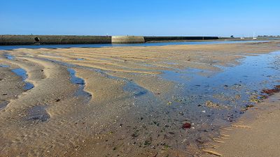 388 Vacances  Noirmoutier - 208074~1 optimise Pbase.jpg