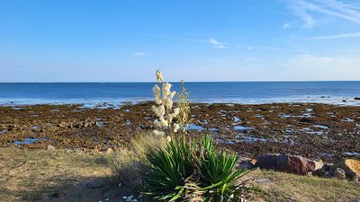 49 Vacances  Noirmoutier - 204C19~1 optimise Pbase.jpg
