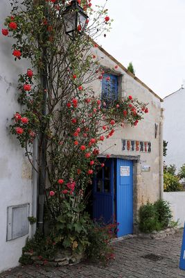 1710 Vacances en Charente Maritime - Photos Canon IMG_9248_DxO Pbase.jpg
