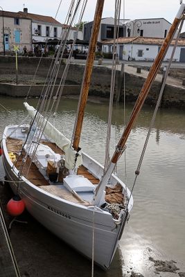 1715 Vacances en Charente Maritime - Photos Canon IMG_9255_DxO Pbase.jpg