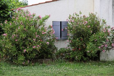 1800 Vacances en Charente Maritime - Photos Canon IMG_9345_DxO Pbase.jpg