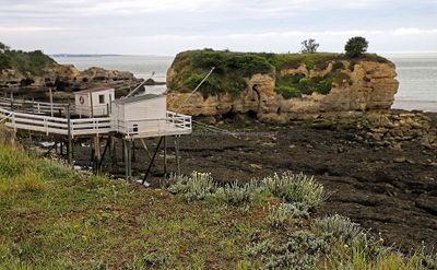 1802 Vacances en Charente Maritime - Photos Canon IMG_9348_DxO Pbase.jpg