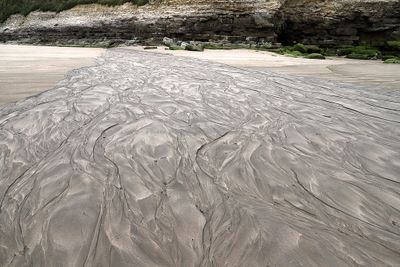 1808 Vacances en Charente Maritime - Photos Canon IMG_9354_DxO Pbase.jpg