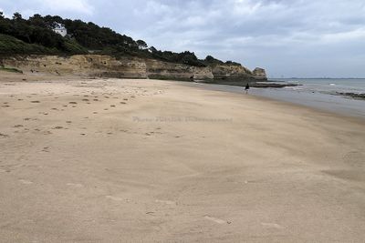 1810 Vacances en Charente Maritime - Photos Canon IMG_9356_DxO Pbase.jpg