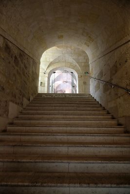 1843 Vacances en Charente Maritime - Photos Canon IMG_9399_DxO Pbase.jpg