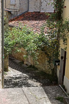 1928 Vacances en Charente Maritime - Photos Canon IMG_9489_DxO Pbase.jpg