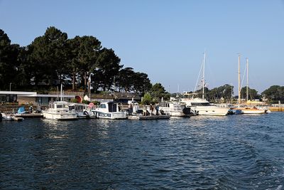 10 Vacances sur l'ile aux Moines - IMG_9685_DxO Pbase.jpg