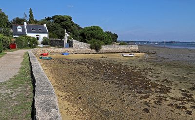 108 Vacances sur l'ile aux Moines - IMG_9766_DxO Pbase.jpg