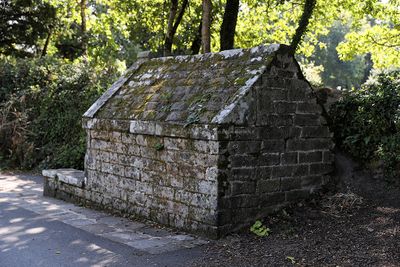 117 Vacances sur l'ile aux Moines - IMG_9770_DxO Pbase.jpg