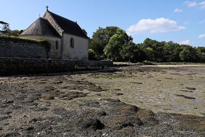 137 Vacances sur l'ile aux Moines - IMG_9788_DxO Pbase.jpg