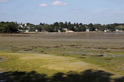 141 Vacances sur l'ile aux Moines - IMG_9791_DxO Pbase.jpg