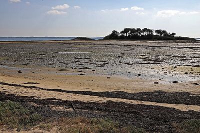 152 Vacances sur l'ile aux Moines - IMG_9798_DxO Pbase.jpg