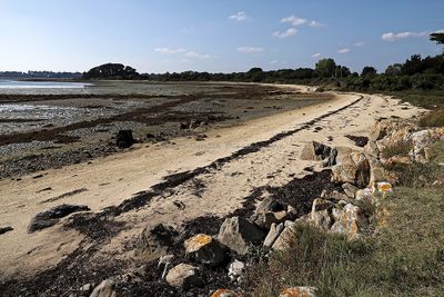 155 Vacances sur l'ile aux Moines - IMG_9801_DxO Pbase.jpg
