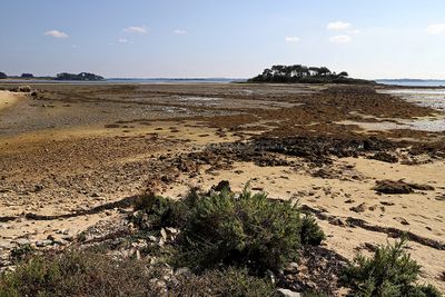 156 Vacances sur l'ile aux Moines - IMG_9802_DxO Pbase.jpg