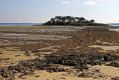 157 Vacances sur l'ile aux Moines - IMG_9803_DxO Pbase.jpg