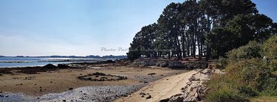 160 Vacances sur l'ile aux Moines - 203FBA~1_DxO Pbase.jpg