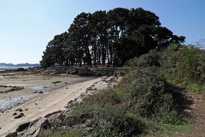 162 Vacances sur l'ile aux Moines - IMG_9806_DxO Pbase.jpg
