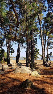 167 Vacances sur l'ile aux Moines - 20A29A~1_DxO Pbase.jpg
