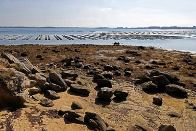 169 Vacances sur l'ile aux Moines - IMG_9811_DxO Pbase.jpg