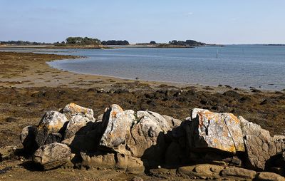 171 Vacances sur l'ile aux Moines - IMG_9813_DxO Pbase.jpg