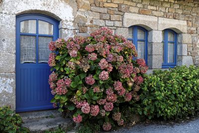184 Vacances sur l'ile aux Moines - IMG_9821_DxO Pbase.jpg