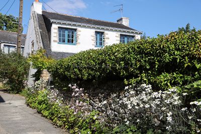 188 Vacances sur l'ile aux Moines - IMG_9824_DxO Pbase.jpg