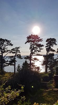 203 Vacances sur l'ile aux Moines - 20B7BC~1_DxO Pbase.jpg