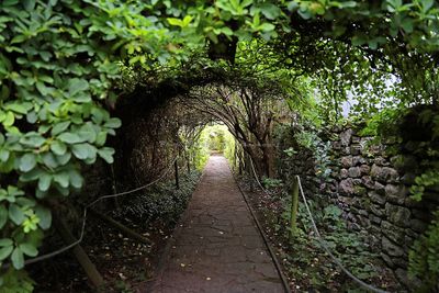 22 Vacances sur l'ile aux Moines - IMG_9697_DxO Pbase.jpg
