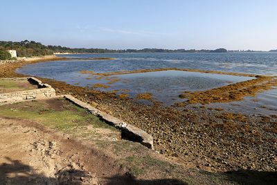 294 Vacances sur l'ile aux Moines - IMG_9862_DxO Pbase.jpg
